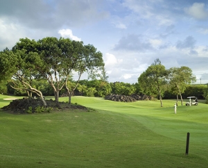 Links Golf