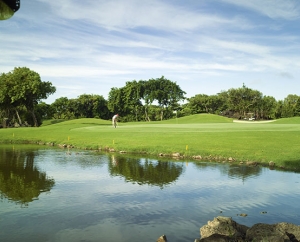 Links Golf
