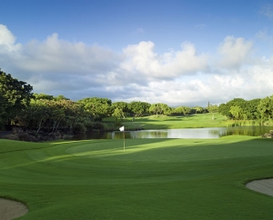 Links Golf