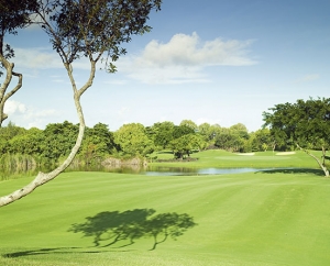 Links Golf