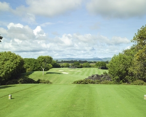 Links Golf