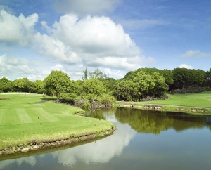 Links Golf