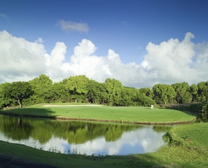 Links Golf