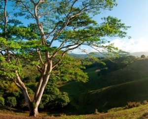Heritage Nature Reserve